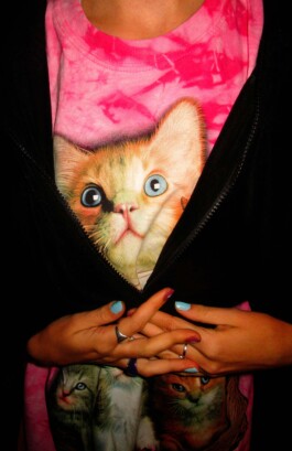 portfolio nora dorgathen